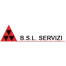 B.S.L. Consulting